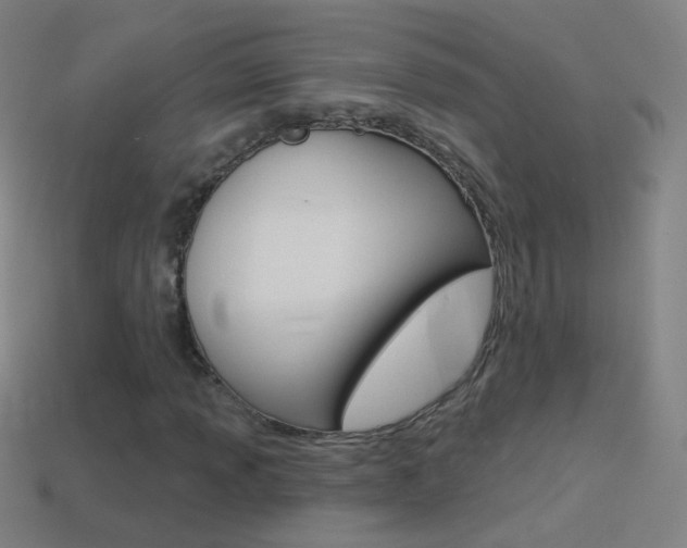 X0000114531013200910191006