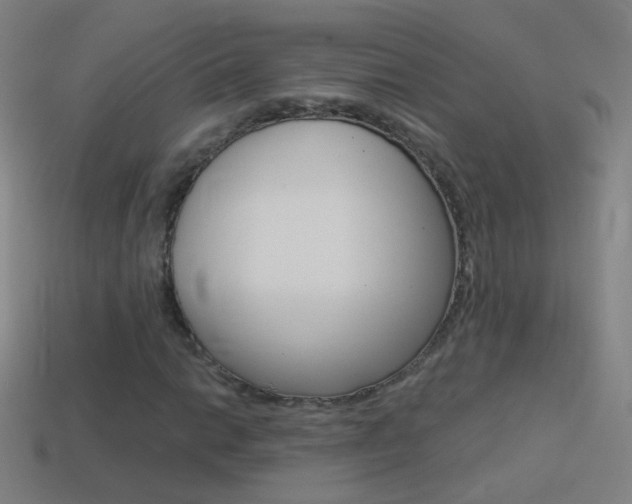 X0000114531014200910191006