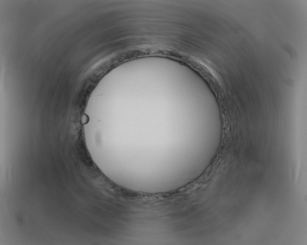 X0000114531015200910191006