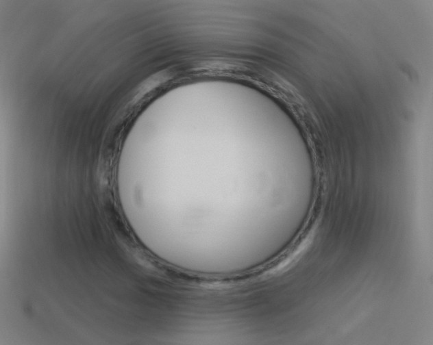 X0000114531017200910191006