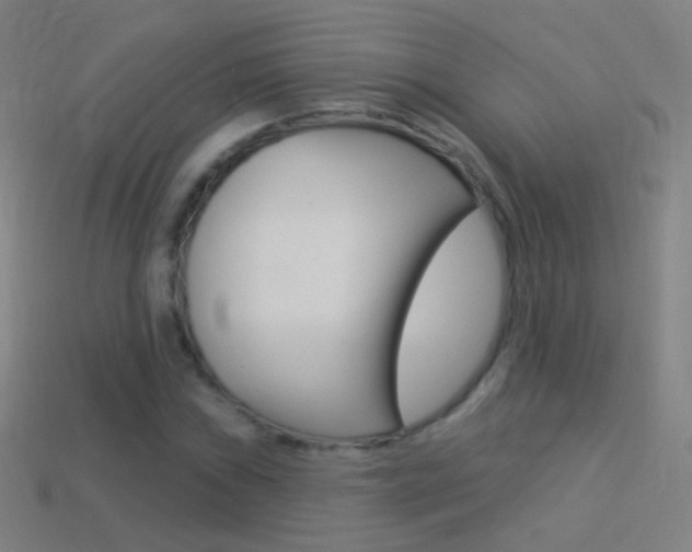 X0000114531019200910191006