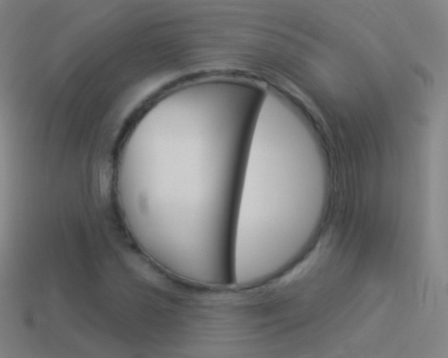 X0000114531021200910191006