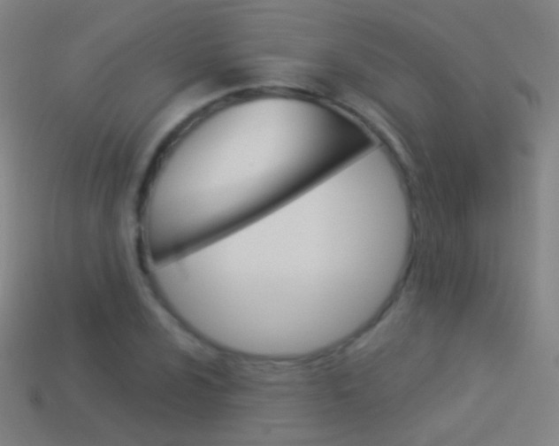 X0000114531024200910191006