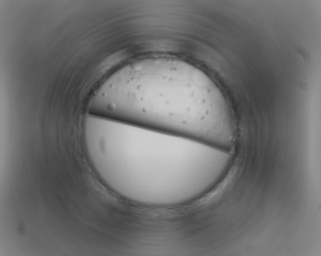 X0000114531025200910191006