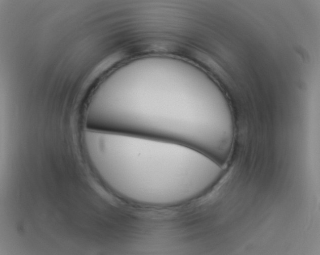 X0000114531026200910191006