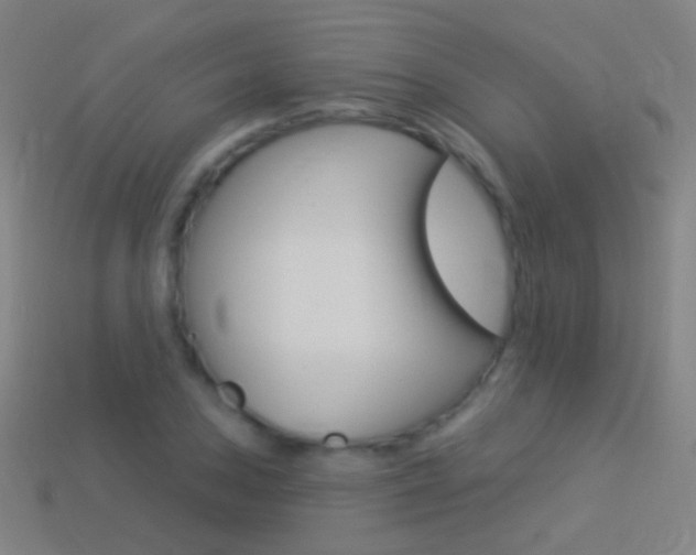 X0000114531027200910191006
