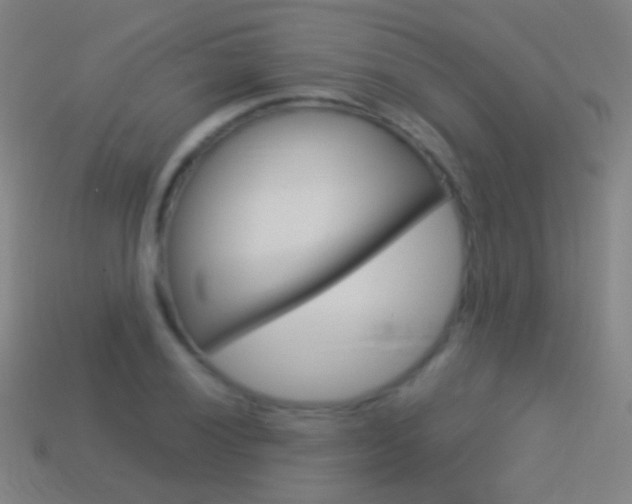 X0000114531028200910191006