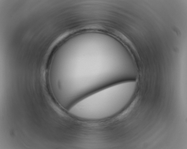 X0000114531029200910191006