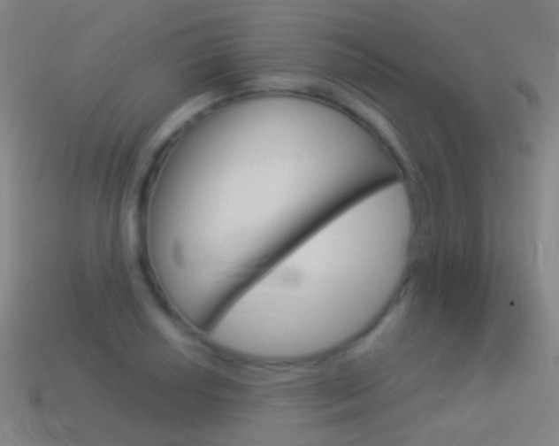 X0000114531034200910191006