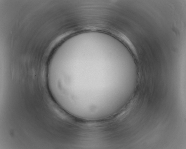 X0000114531035200910191006