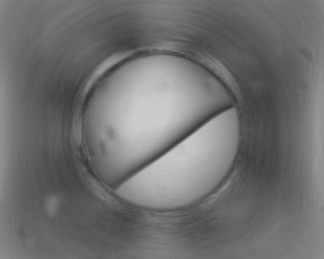 X0000114531036200910191006