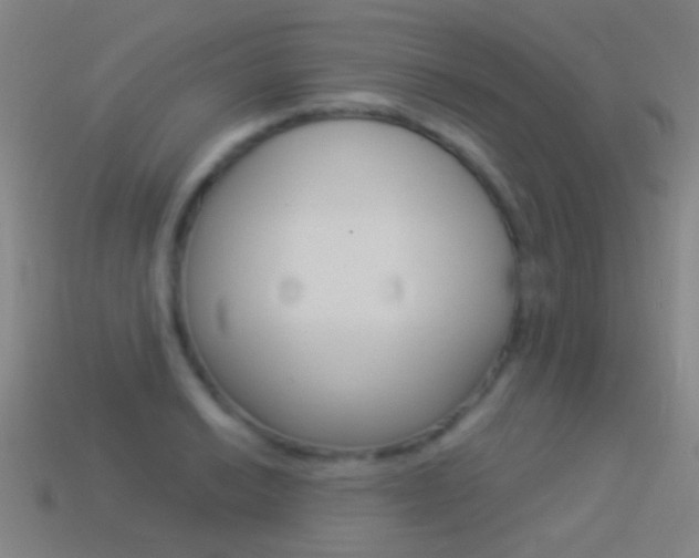 X0000114531038200910191006