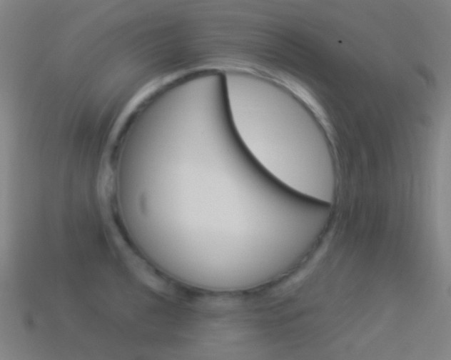 X0000114531040200910191006