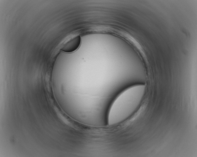 X0000114531041200910191006