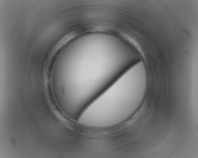 X0000114531042200910191006