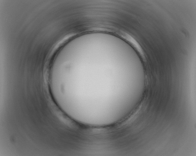 X0000114531043200910191006