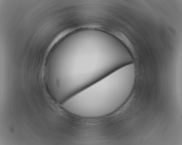 X0000114531044200910191006