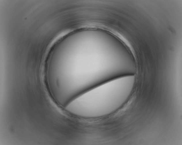 X0000114531045200910191006