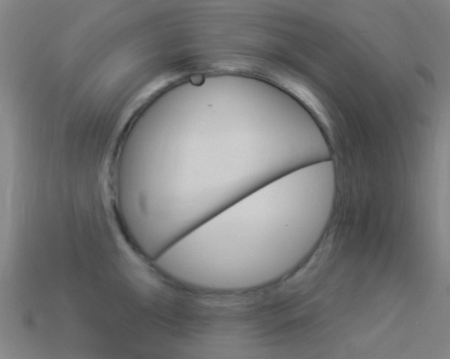 X0000114531047200910191006