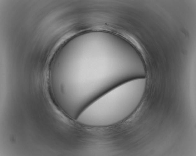 X0000114531048200910191006