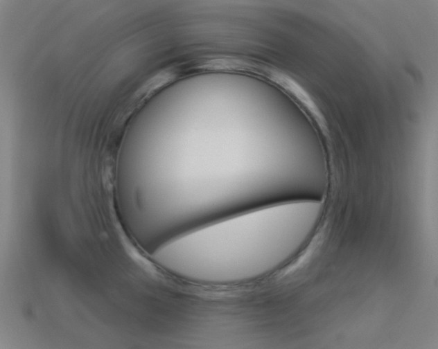 X0000114531049200910191006