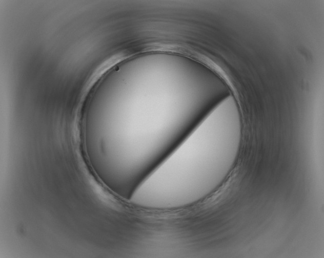 X0000114531050200910191006