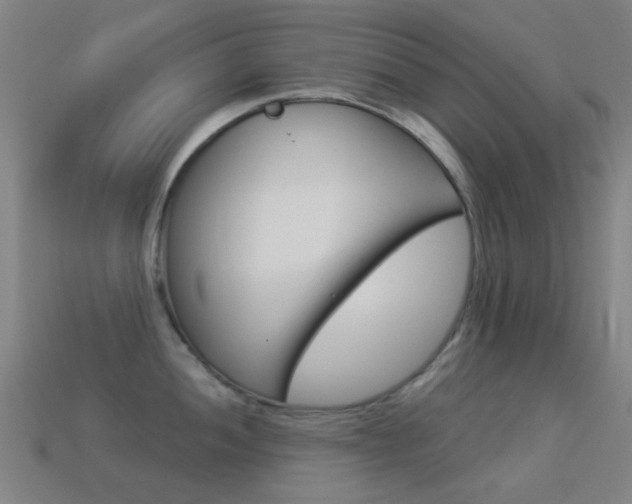 X0000114531052200910191006