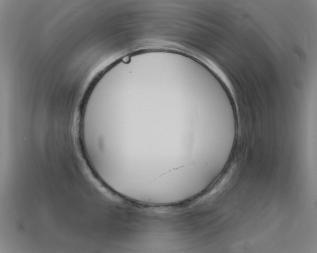 X0000114531053200910191006