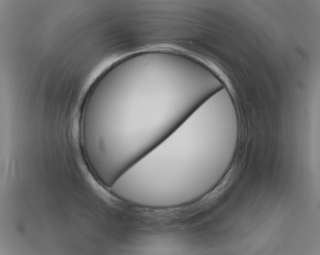 X0000114531054200910191006