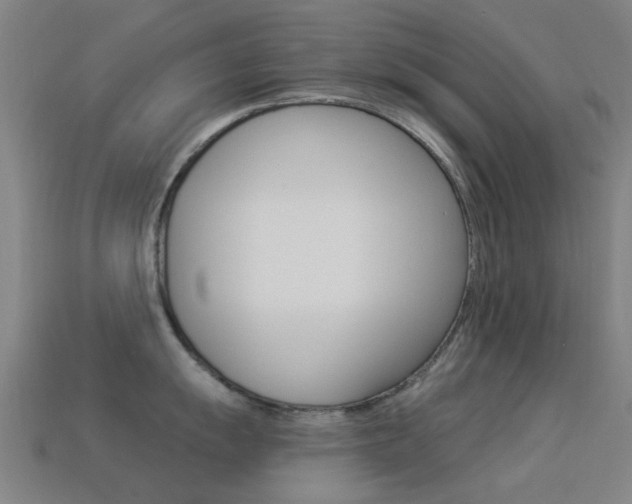 X0000114531055200910191006
