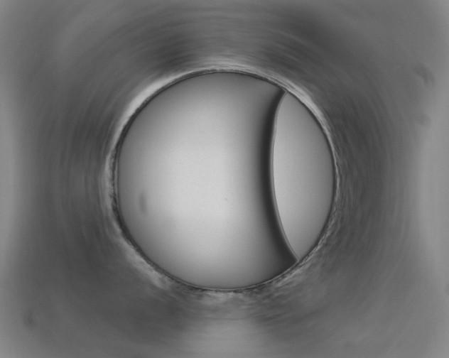 X0000114531056200910191006