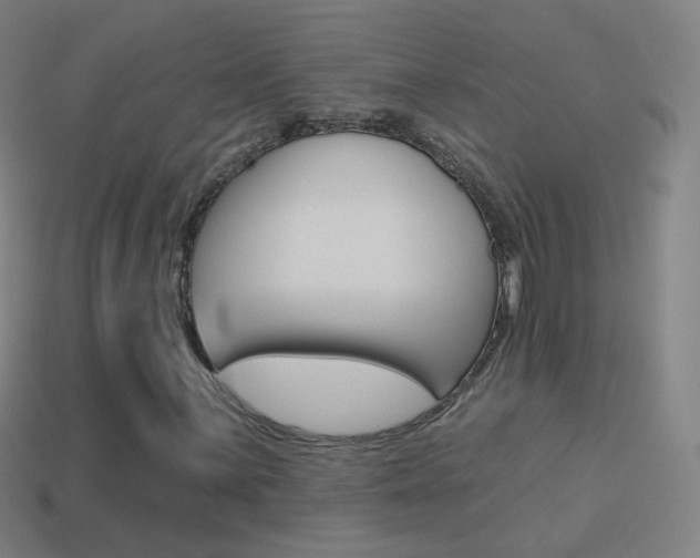 X0000114531059200910191006