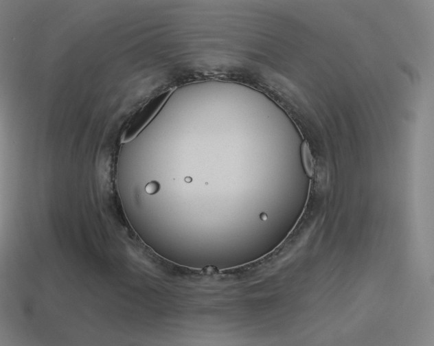 X0000114531060200910191006