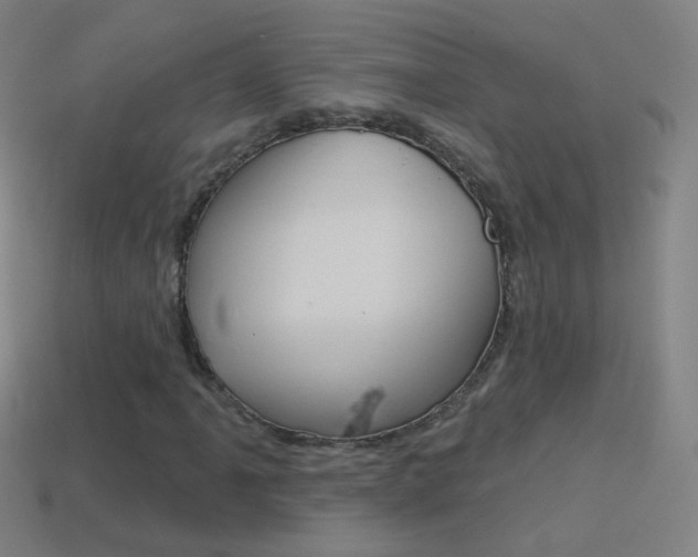 X0000114531061200910191006