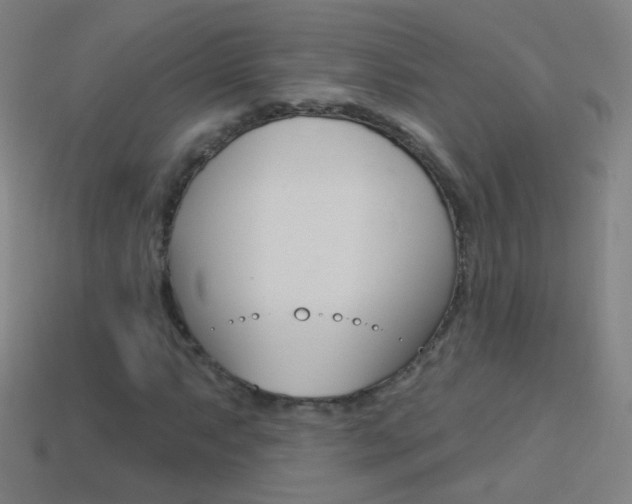 X0000114531063200910191006