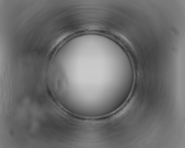 X0000114531065200910191005