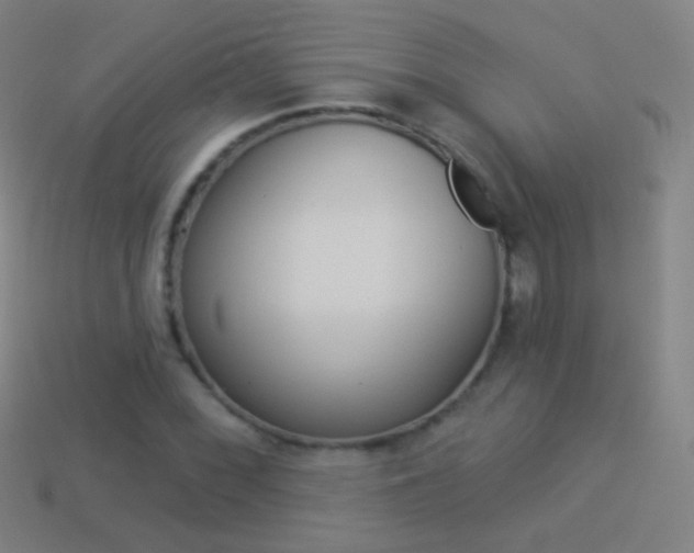 X0000114531068200910191005