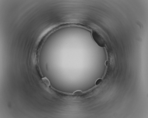 X0000114531069200910191005