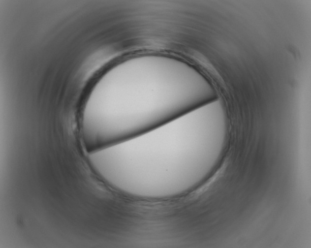X0000114531070200910191005