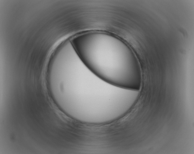 X0000114531072200910191005