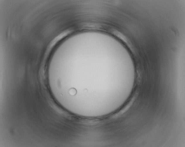 X0000114531074200910191005