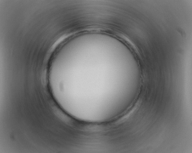 X0000114531075200910191005