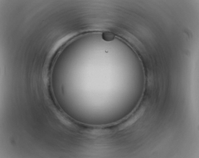 X0000114531077200910191005