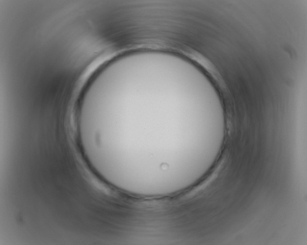 X0000114531078200910191005