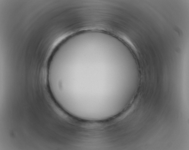 X0000114531079200910191005