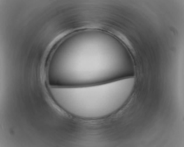 X0000114531080200910191005