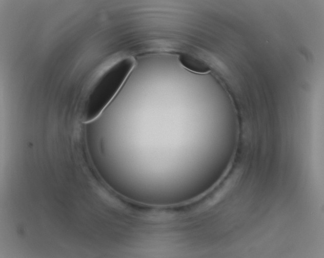 X0000114531081200910191005