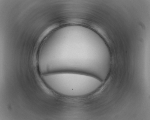X0000114531082200910191005
