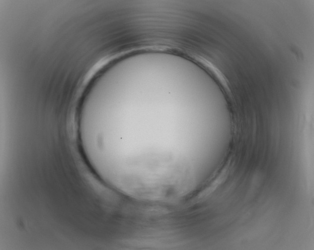 X0000114531083200910191005