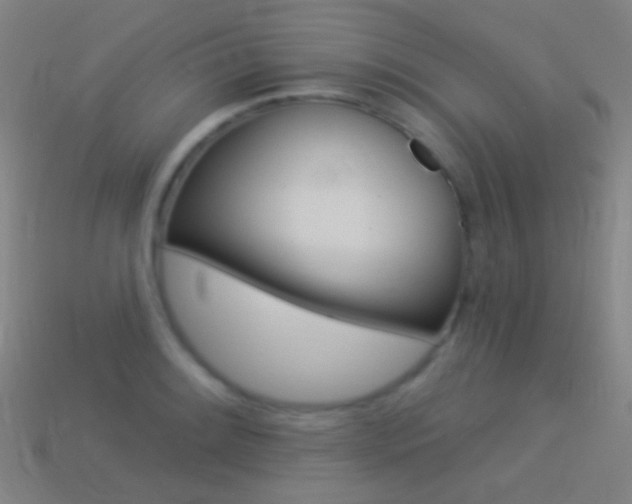 X0000114531084200910191005